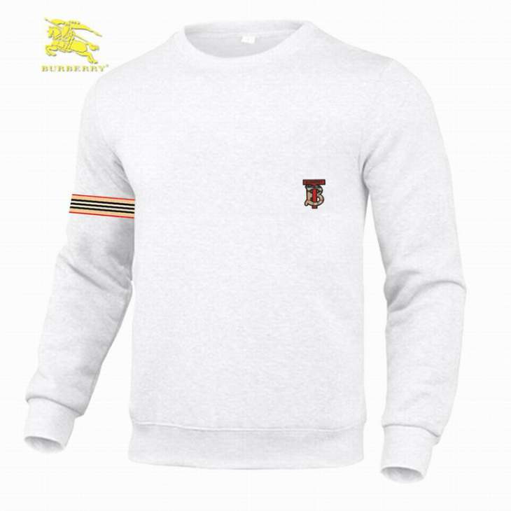 Picture of Burberry Sweatshirt _SKUBurberryM-3XL12yn13230696